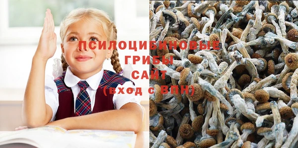 spice Зеленодольск