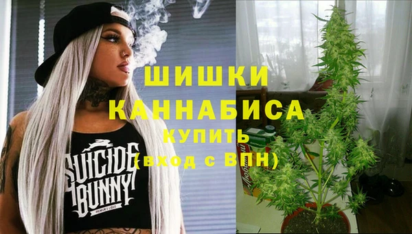 амф Кулебаки