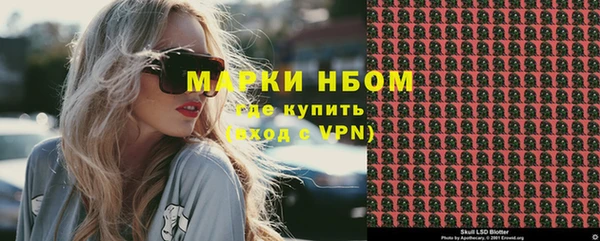 прущие грибы Куйбышев