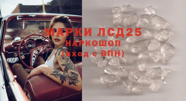 прущие грибы Куйбышев